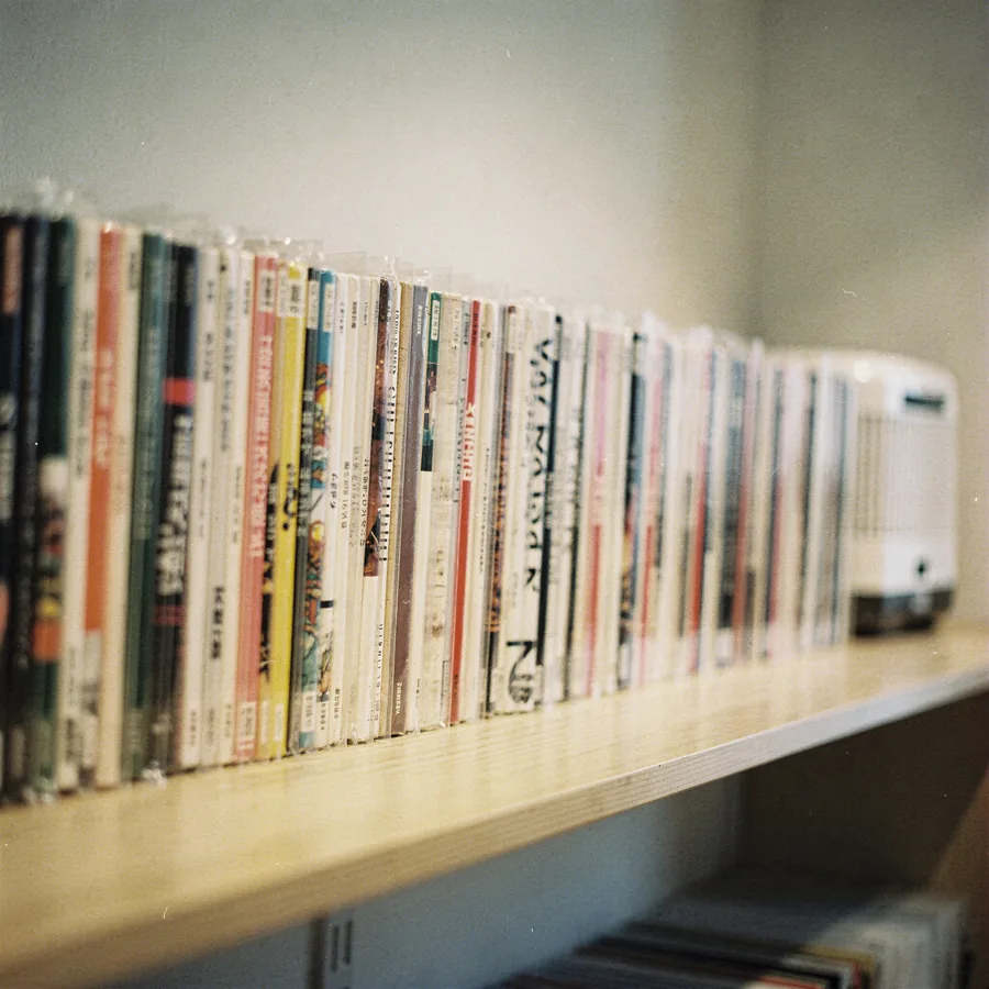Vinyl LPs stored upright on a shelf beside a small dehumidifier